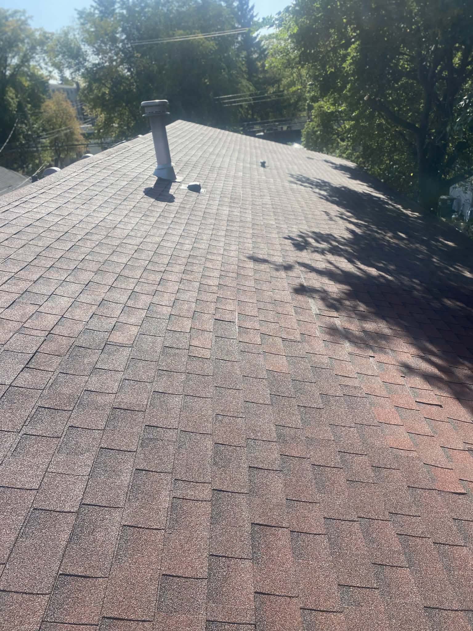 Roof before Shingle Guard treatment